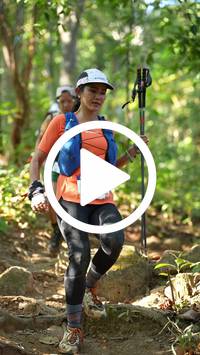 BIB:  <button type="button" onclick="openModal(27637478)" class="btn btn-primary btn-sm float-right" data-toggle="modal" data-target=".modal-high-quality">
                <i class="fa fa-download"></i> Download
                </button>